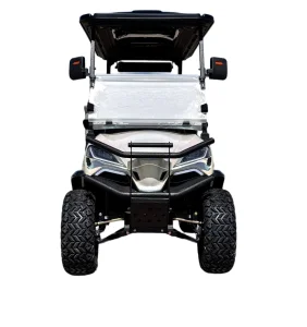 Carrinho de Golfe Elétrico para Quatro Pessoas