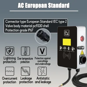 Tesla BYD Custom Station