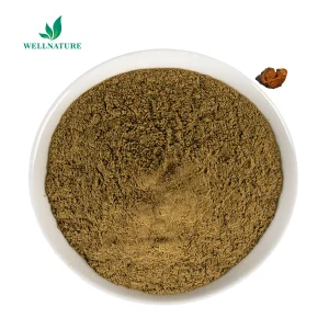 Organic Chaga Mushroom Extract Powder