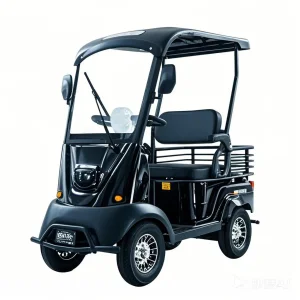 Fast Charging Eco-Friendly and Energy-Efficient Event Guidance Course Advertising Used Electric Scooter Electric Golf Cart