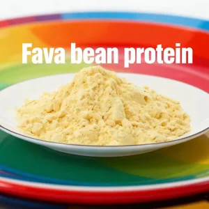 NON-GMO Factory price Vegan Fava Bean Protein 90%