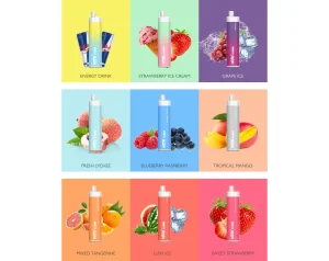 Vape Europe Warehouse 2000-3000 Puffs