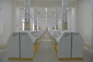 600t Flour Milling Machine Advance Technology
