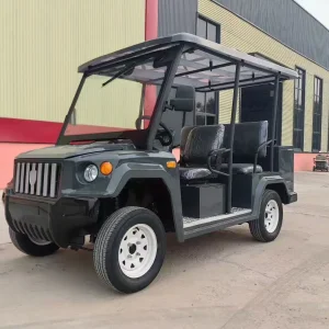 Carrinho de golfe quadriciclo a gasolina personalizado