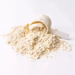 Premium Quality Organic Fava Bean Flour Protein Powder