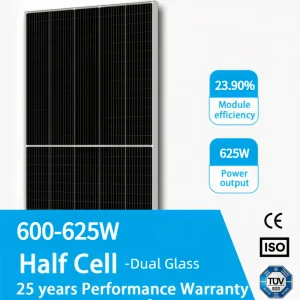 Escala de Utilidade 23.90% Eficiência 625W Painel Solar Tipo N 600W para Fazenda Solar