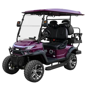 Chinese Cheap Prices 4 Seater Electric Golf Carts Buggy Car Club Four Enclosed Power Golf Cart for Sale