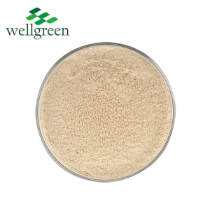 Extrato de Raiz de Ginseng Panax Premium