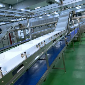 Industrial PVC PU Conveyor System