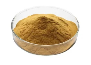 Ginkgo Biloba Leaf Extract