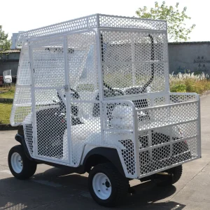 Protective Mesh-Enclosed 1-Seater Golf Cart for Golf Course Logistics