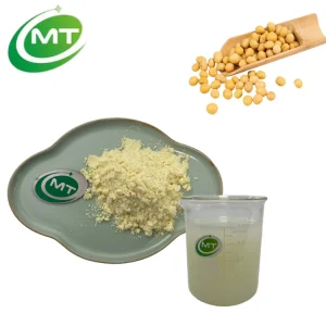 Soy Milk Powder