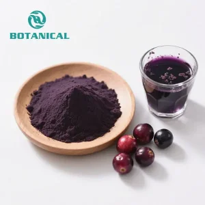 OEM Organic Freeze dried acai powder Suppliers, Supplier