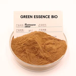Herba Patriniae Extract Powder