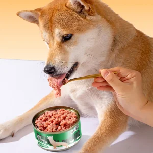 OEM ODM Moist and Wet Dog Food Canned