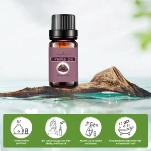 Global Suppliers Supply Natural Plant-Derived Perilla Seed Oil