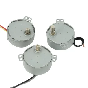 High Torque 49tyj AC 110V 220V Synchronous Motor for Electric Fan, BBQ Grill, Fireplace and Heater