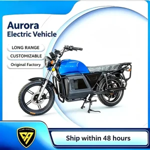 China Retro Heavy-Duty Cargo Electric Motorcycle