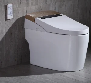 Heated Electrical Smart Toilet
