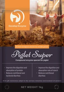 High Activity Enzyme Piglet Feed