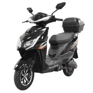 Global Leading Two-wheeled Electric Bike Model: Warwolf