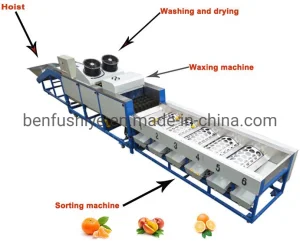 Máquina de lavado, encerado, clasificación de frutas cítricas industriales de manzana, limón, lima, naranja y batata