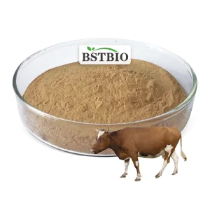 BSTBIO OEM Sport Supplements Hydrolyzed Beef Protein