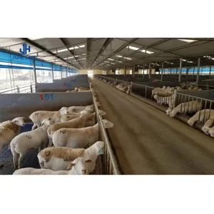Goat Sheep Steel Structure Farmhouse