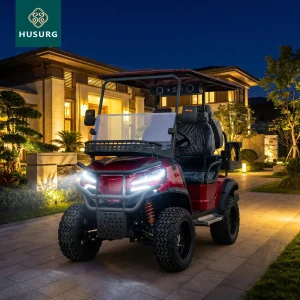 off Road Electric Golf Cart Buggy with Cargo Boxes 72V 4/8 Seater Double Row Dot Certified for Rental Use