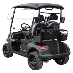 DOT-Approved Golf Cart - 2-Seat Street Legal Electric Lsv