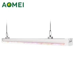 Peru Canopy Lighting