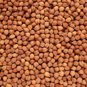 Premium Non-GMO Bulk Raw Whole Split Black Chickpeas Kala Chana 18.22 Percent Protein 98 Percent Purity Low Moisture