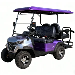 4-Seat Electric Golf Cart with LED Headlights &amp; Rear Taillights