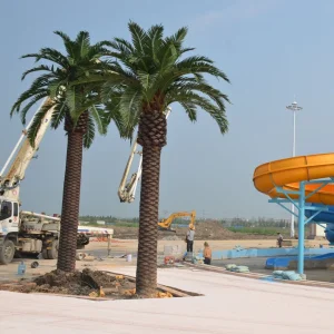 UV Protected Artificial Palm Trees