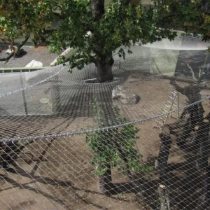 Safety Measure Fall Protection Ball-Catching Throwing Bird Drone Zoo Animal Cage Protection Stainless Steel Fence Screen Mesh Expand Web Wire Rope Cable Net