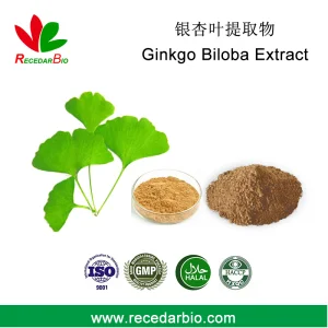 Pó de Extrato de Folha de Ginkgo Biloba para Extrato Herbal de Planta Nutracêutica