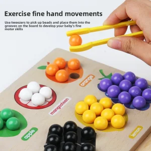 Fruit Color Sorting Bead Clips