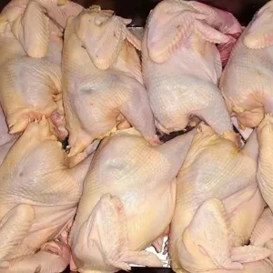دجاج كامل مجفف