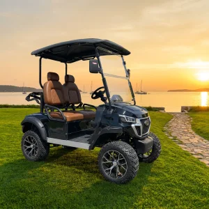 Electric 2 Seater Golf Cart Top Quality