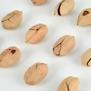 Nozes de Pecan da Nova Safra da China, Nozes de Pecan Descascadas, Tamanho Grande, Sabor de Pecan