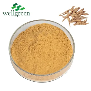 Angelica Root Extract Powder
