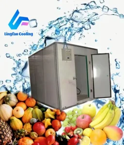 Whole Milk Fresh Fruit Importers Cold Storage Chain Cooler Room Chiller Cold Room Equipment