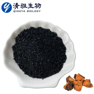 Chaga Mushroom Granules Chaga Extract Phaeoporus Obliquus Extract Inonotus Obliquus
