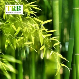 Wholesale Bamboo Leaf Extract Manufacturer