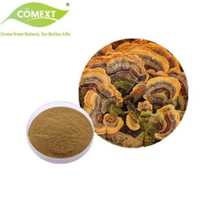 Comext ISO Halal Kosher Pó de Cogumelo Extrato de Cauda de Peru para Produto de Saúde