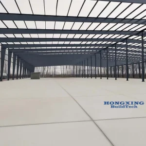 Cost-Effective Large Span Steel Structure Building