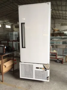 Congelador Comercial Baixo Preço Aço Inoxidável Resfriador Congelador