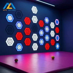 Juego de Lanzamiento de Pelotas