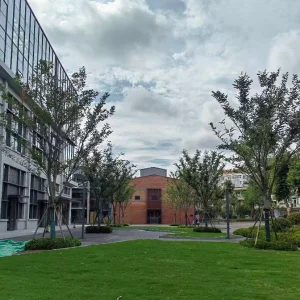 Public Infrastructure Steel Buildings Durable Steel Structure Plant at Affordable Cost