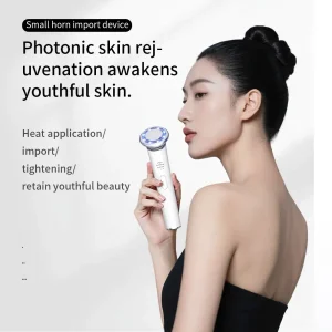Home Use Beauty Equipment EMS Microcurrent Facial Toning Skin Care Rejuvenation Device